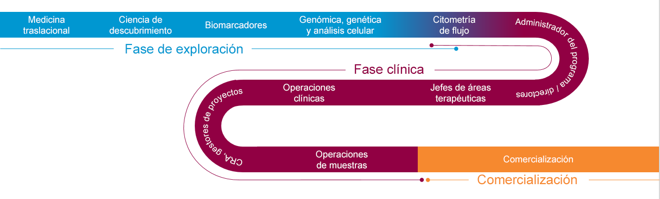 cuerpo de biomarcador